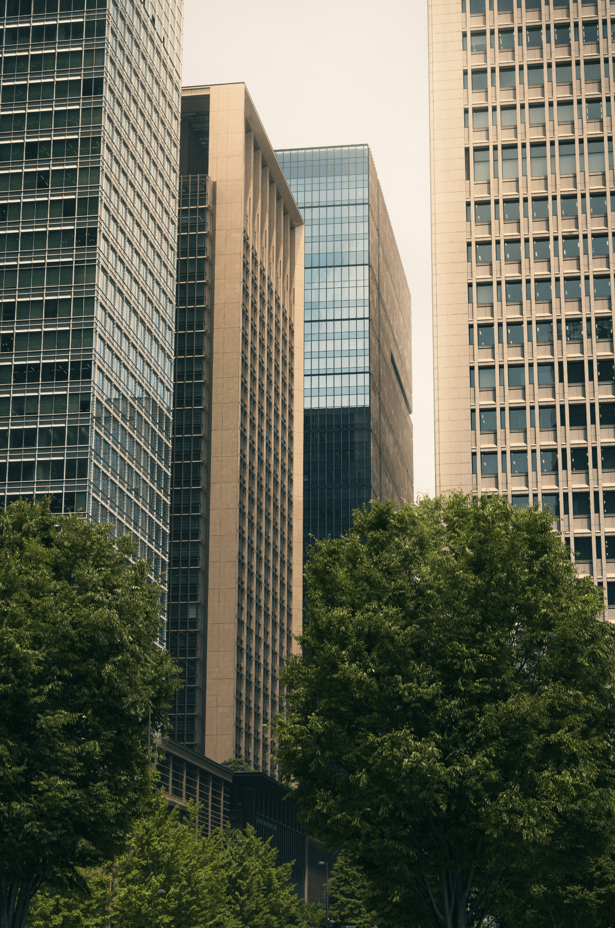 Accounting firms